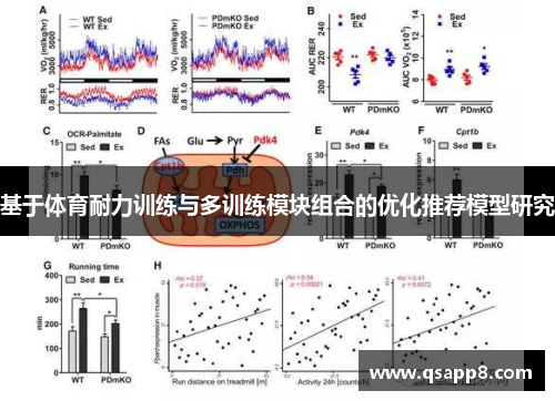 基于体育耐力训练与多训练模块组合的优化推荐模型研究